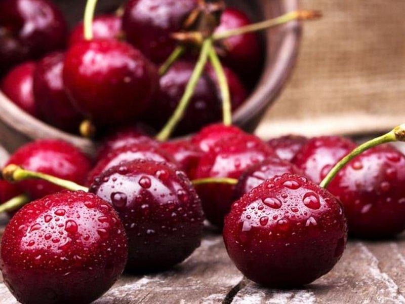 Вишня купить саженцы из питомника в Северске