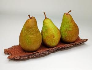 Груша "КСЕНИЯ"